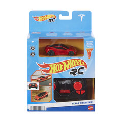 Puldiga automudel Hot Wheels, Tesla hind ja info | Poiste mänguasjad | kaup24.ee