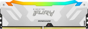 Kingston Fury Renegade RGB (KF560C32RWA-32) цена и информация | Оперативная память (RAM) | kaup24.ee