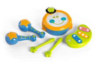 Minilandiinstrumentide komplekt - haridusmänguasjad цена и информация | Игрушки для малышей | kaup24.ee