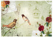 Fototapeet - Vintage birds hind ja info | Fototapeedid | kaup24.ee