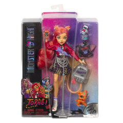 Laulja nukk Monster High aksessuaaridega kaina ir informacija | Tüdrukute mänguasjad | kaup24.ee