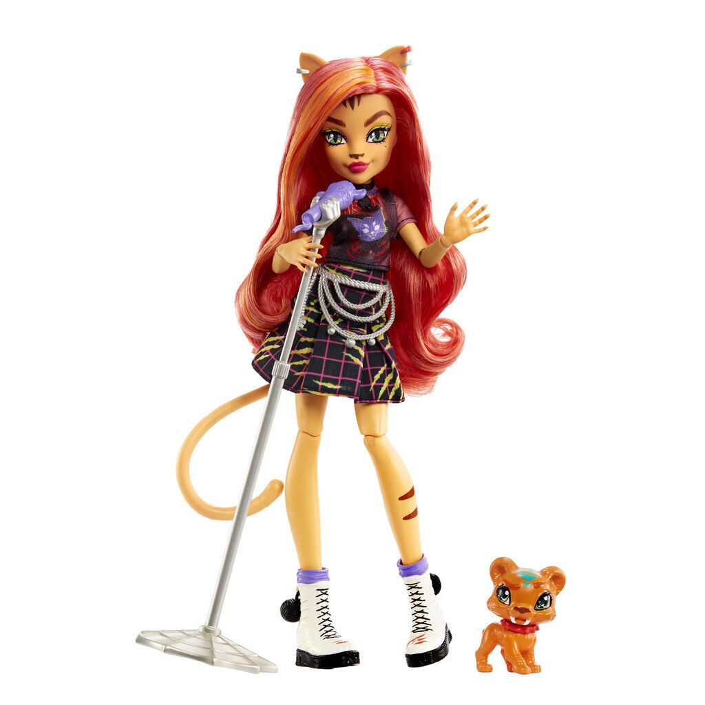 Laulja nukk Monster High aksessuaaridega hind ja info | Tüdrukute mänguasjad | kaup24.ee