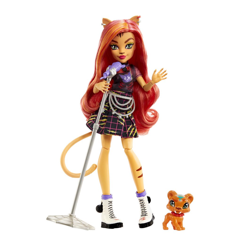 Кукла Monster High Певица с аксессуарами цена | kaup24.ee