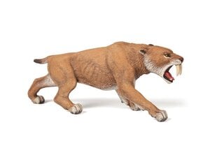 Kollektsionääri kujuke Smilodon, Papo цена и информация | Развивающий мелкую моторику - кинетический песок KeyCraft NV215 (80 г) детям от 3+ лет, бежевый | kaup24.ee