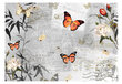 Fototapeet - Butterflies song цена и информация | Fototapeedid | kaup24.ee