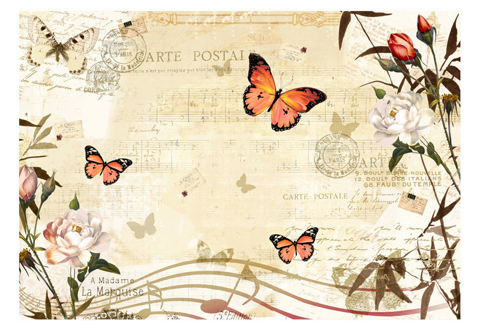 Fototapeet - Melodies of butterflies hind ja info | Fototapeedid | kaup24.ee