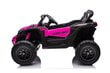 Elektriauto Buggy Can-Am, roosa hind ja info | Laste elektriautod | kaup24.ee