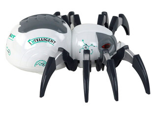 Ämblik akuga töötav RC Spider Lean Toys, valge hind ja info | Poiste mänguasjad | kaup24.ee