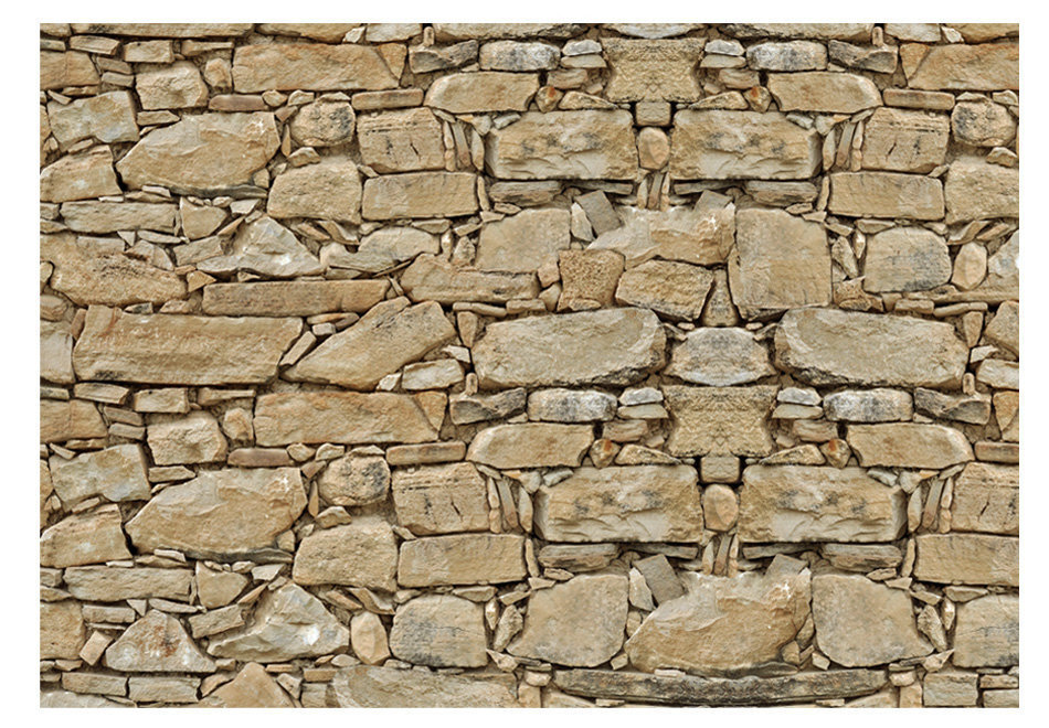 Fototapeet - Stone wall цена и информация | Fototapeedid | kaup24.ee