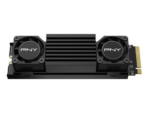 PNY CS3150 (M280CS3150HS-2TB-RB) цена и информация | Внутренние жёсткие диски (HDD, SSD, Hybrid) | kaup24.ee