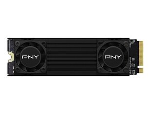 PNY CS3150 (M280CS3150HS-2TB-RB) цена и информация | Внутренние жёсткие диски (HDD, SSD, Hybrid) | kaup24.ee