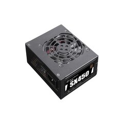 SilverStone SST-SX450-B цена и информация | Материнские платы (PSU) | kaup24.ee