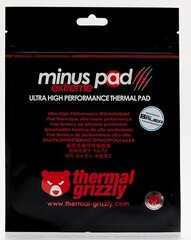 Thermal Grizzly Minus Pad Extreme 120 × 20 × 2 мм цена и информация | Термопасты | kaup24.ee