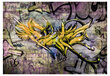 Fototapeet - Stunning graffiti цена и информация | Fototapeedid | kaup24.ee