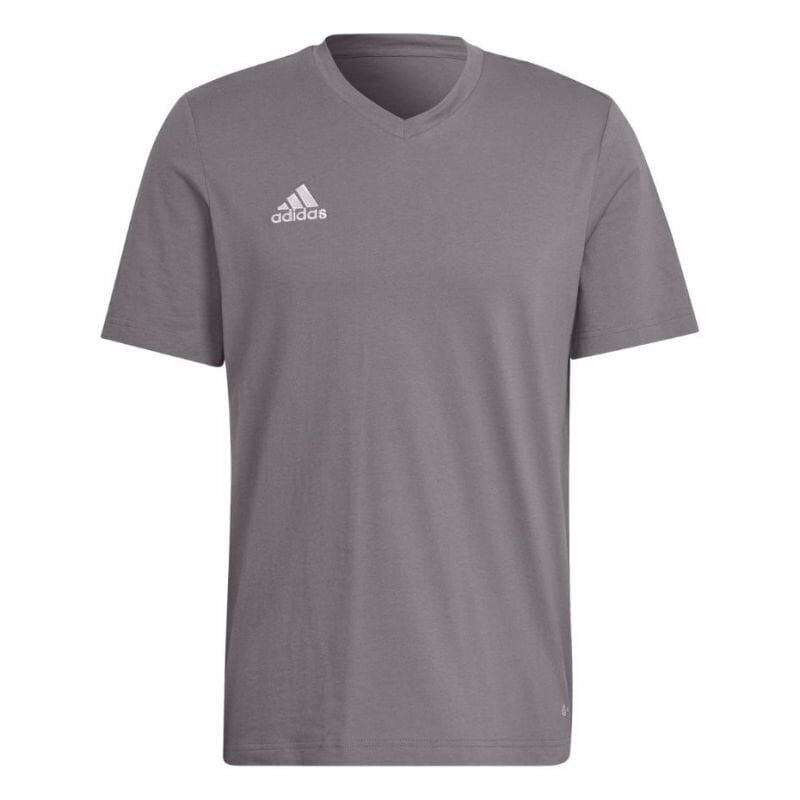 T-särk meestele Adidas Entrada 22, hall hind ja info | Meeste spordiriided | kaup24.ee