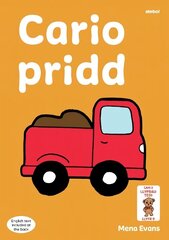 Llyfrau Hwyl Magi Ann: Cario Pridd цена и информация | Книги для малышей | kaup24.ee