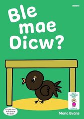 Llyfrau Hwyl Magi Ann: Ble Mae Dicw? hind ja info | Väikelaste raamatud | kaup24.ee