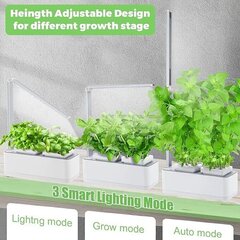 Умный горшок для растений Clizia Smart Garden, белый цена и информация | Проращиватели, лампы для растений | kaup24.ee