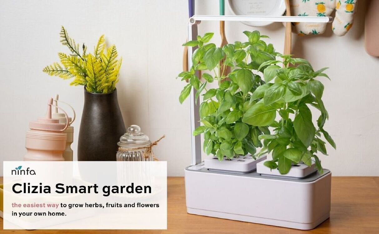 Nutikas taimepott Clizia Smart Garden цена и информация | Nutipotid ja taimelambid | kaup24.ee