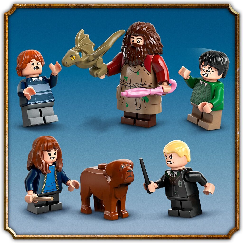 76428 LEGO® Harry Potter Hagridi onn: üllatuskülastus цена и информация | Klotsid ja konstruktorid | kaup24.ee