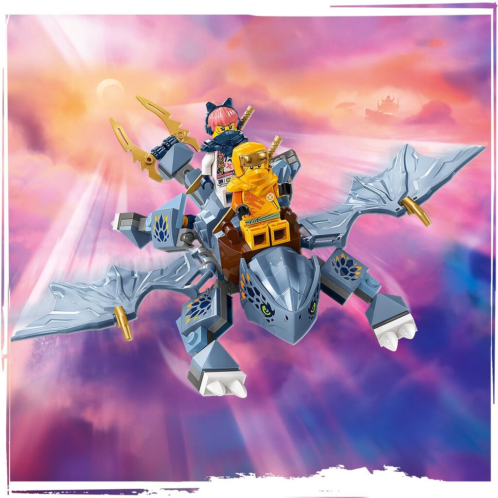 71810 LEGO® Ninjago Noor draakon Riyu hind ja info | Klotsid ja konstruktorid | kaup24.ee