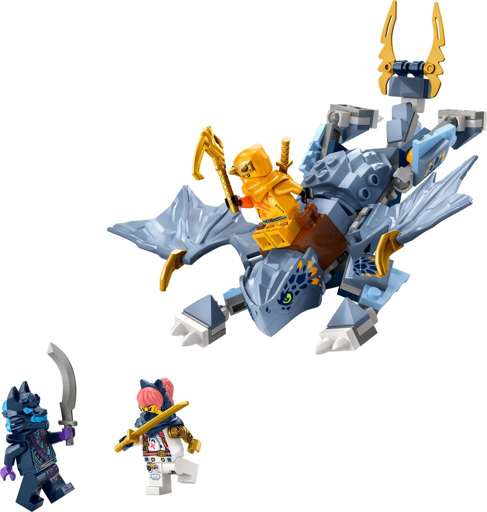 71810 LEGO® Ninjago Noor draakon Riyu hind ja info | Klotsid ja konstruktorid | kaup24.ee