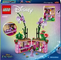 43237 LEGO® Disney Princess Цветочный горшок Изабеллы цена и информация | Конструкторы и кубики | kaup24.ee