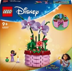 43237 LEGO® Disney Princess Цветочный горшок Изабеллы цена и информация | Конструкторы и кубики | kaup24.ee