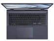 Asus ExpertBook B5 OLED B5602CVA-L20489X Star Black цена и информация | Sülearvutid | kaup24.ee