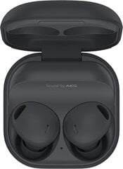 Samsung Galaxy Buds 2 Pro R510 Grey цена и информация | Наушники | kaup24.ee