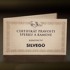 Silvego Серебряный кулон сердце с настоящими чешскими гранатами SILVEGOB180041 цена и информация | Украшение на шею | kaup24.ee