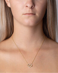 Silvego Серебряное/позолоченное ожерелье Belisa Heart and Infinity с блестящим цирконием PRGPK0068N цена и информация | Украшения на шею | kaup24.ee