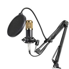 Professionaalne stuudiomikrofon цена и информация | Микрофоны | kaup24.ee