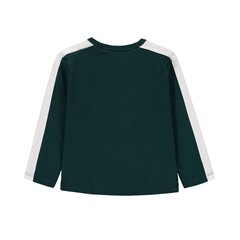 T-särk poistele Esprit, roheline цена и информация | Рубашки для мальчиков | kaup24.ee