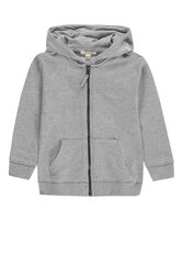 Esprit kampsun poistele, hall цена и информация | Свитеры, жилетки, пиджаки для мальчиков | kaup24.ee