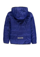 Утепленная стеганая куртка с капюшоном для мальчиков Esprit, синяя цена и информация | Куртки для мальчиков | kaup24.ee