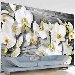 Fototapeet - Callous orchids III hind ja info | Fototapeedid | kaup24.ee