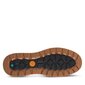 Jalatsid meestele Timberland Maple Grove Low Lace Up Sneaker Wheat, TB0A2E7D2311, beež цена и информация | Meeste kingad, saapad | kaup24.ee