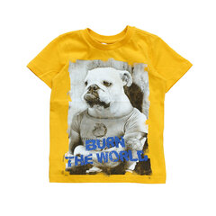 Футболка для мальчиков Kanz, желтая цена и информация | Рубашки для мальчиков | kaup24.ee