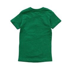 Футболка для мальчиков, зеленая цена и информация | Рубашки для мальчиков | kaup24.ee