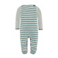 Poiste pidžaama Kanz, hall hind ja info | Poiste hommikumantlid ja pidžaamad | kaup24.ee