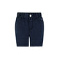 Lühikesed püksid poistele, sinine hind ja info | Poiste lühikesed püksid | kaup24.ee