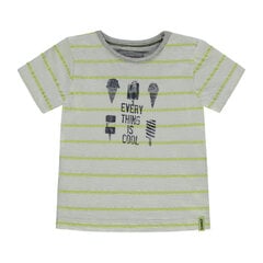 T-särgid poistele Kanz, erinevad värvid цена и информация | Рубашки для мальчиков | kaup24.ee