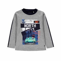 T-särk poistele Kanz, hall цена и информация | Рубашки для мальчиков | kaup24.ee