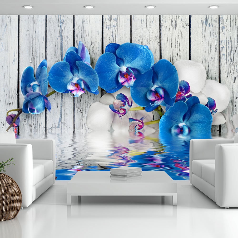 Fototapeet - Cobaltic orchid цена и информация | Fototapeedid | kaup24.ee