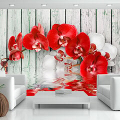 Fototapeet - Ruby orchid цена и информация | Фотообои | kaup24.ee