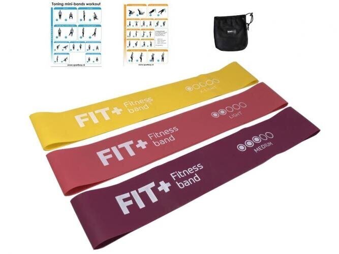 Venituskummide komplekt Fit+ Mini bands set hind ja info | Treeningkummid | kaup24.ee