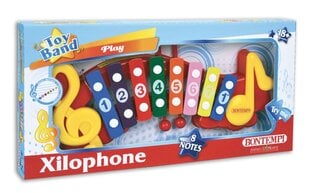 Ксилофон Bontempi цена и информация | Развивающие игрушки | kaup24.ee