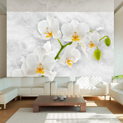 Fototapeet - Lyrical orchid - White hind ja info | Fototapeedid | kaup24.ee
