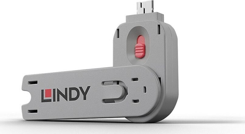 Lindy USB-A, 1 tk цена и информация | Kaablid ja juhtmed | kaup24.ee